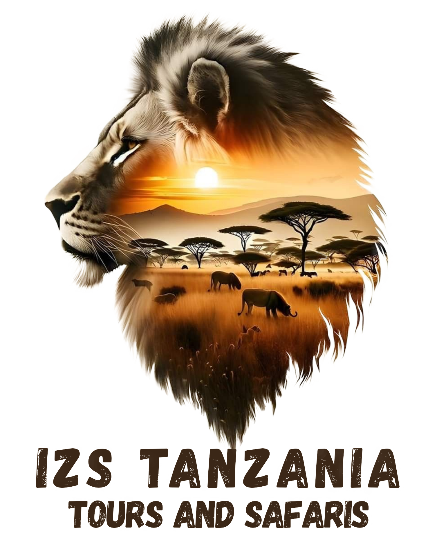 IZS Tanzania Tours And Safaris