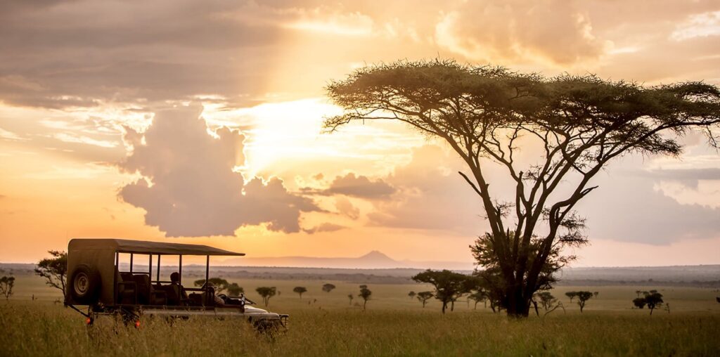 serengeti